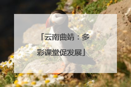 云南曲靖：多彩课堂促发展