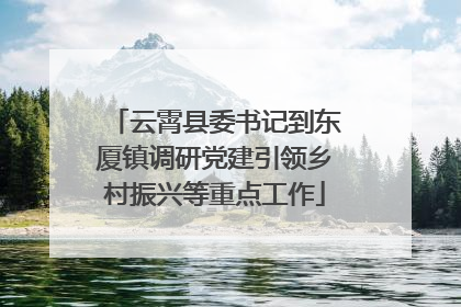 云霄县委书记到东厦镇调研党建引领乡村振兴等重点工作