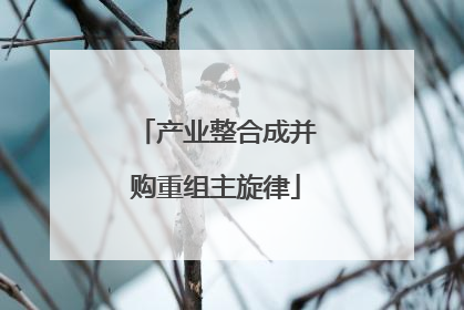 产业整合成并购重组主旋律