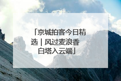 京城拍客今日精选｜风过麦浪香 白塔入云端