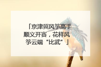 京津冀风筝高手顺义开赛，花样风筝云端“比武”