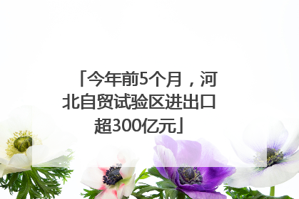 今年前5个月，河北自贸试验区进出口超300亿元