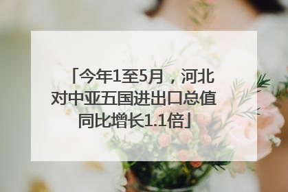 今年1至5月，河北对中亚五国进出口总值同比增长1.1倍