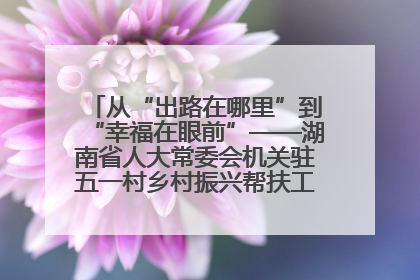 从“出路在哪里”到“幸福在眼前”——湖南省人大常委会机关驻五一村乡村振兴帮扶工作队书写振兴答卷