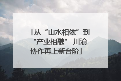 从“山水相依”到“产业相融” 川渝协作再上新台阶