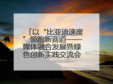以“比亚迪速度”领跑新赛道——媒体融合发展暨绿色创新实践交流会首站走进比亚迪