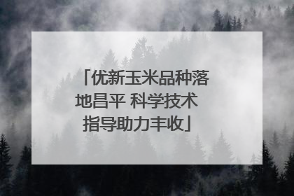 优新玉米品种落地昌平 科学技术指导助力丰收