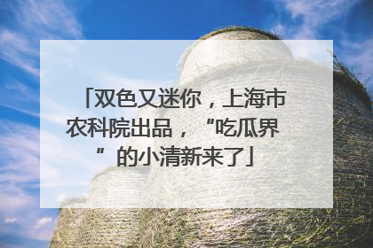 双色又迷你，上海市农科院出品，“吃瓜界”的小清新来了