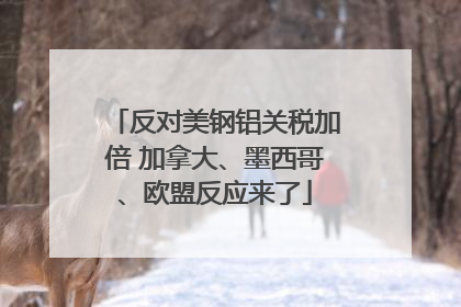 反对美钢铝关税加倍 加拿大、墨西哥、欧盟反应来了