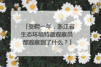 受聘一年，浙江省生态环境特邀观察员都观察到了什么？