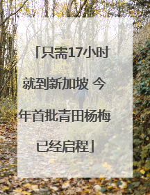 只需17小时就到新加坡 今年首批青田杨梅已经启程