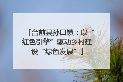 台前县孙口镇：以“红色引擎”驱动乡村建设“绿色发展”