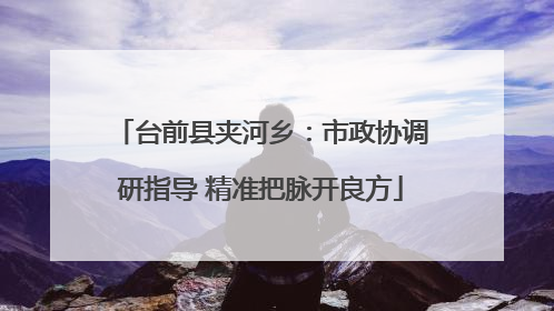 台前县夹河乡：市政协调研指导 精准把脉开良方