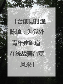 台前县打渔陈镇：为党外青年建跑道 在统战舞台竞风采