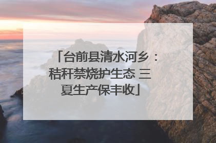 台前县清水河乡：秸秆禁烧护生态 三夏生产保丰收
