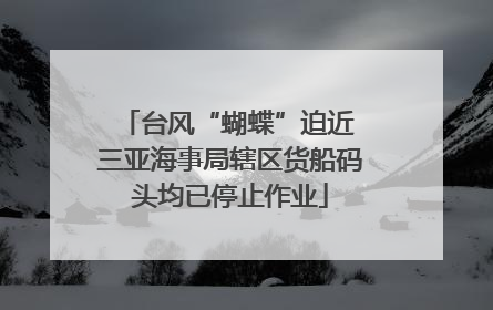 台风“蝴蝶”迫近 三亚海事局辖区货船码头均已停止作业
