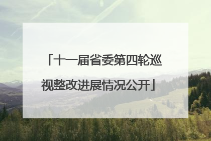 十一届省委第四轮巡视整改进展情况公开