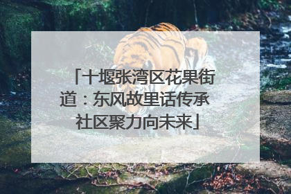 十堰张湾区花果街道：东风故里话传承 社区聚力向未来