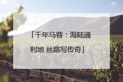 千年马巷：海陆通利地 丝路写传奇