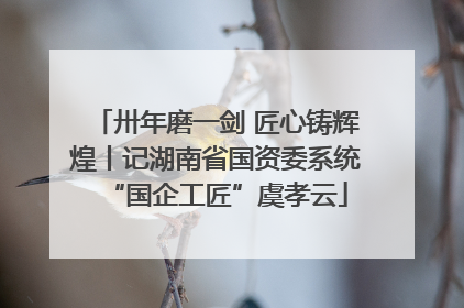 卅年磨一剑 匠心铸辉煌丨记湖南省国资委系统“国企工匠”虞孝云