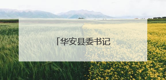 华安县委书记会见重点客商