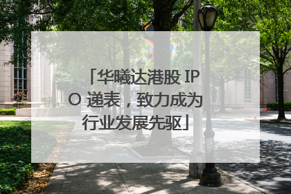 华曦达港股 IPO 递表，致力成为行业发展先驱
