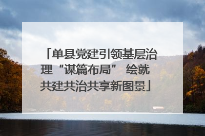 单县党建引领基层治理“谋篇布局” 绘就共建共治共享新图景