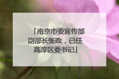 南京市委宣传部副部长张政，已任高淳区委书记