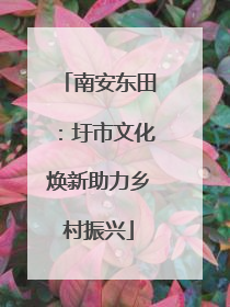 南安东田：圩市文化焕新助力乡村振兴