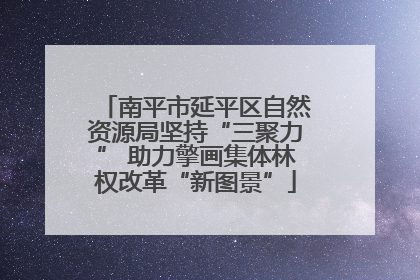 南平市延平区自然资源局坚持“三聚力” 助力擎画集体林权改革“新图景”