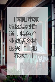南阳市宛城区溧河街道：特色产业激活乡村振兴“一池春水”