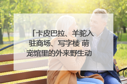 卡皮巴拉、羊驼入驻商场、写字楼 萌宠馆里的外来野生动物暗藏哪些隐患？