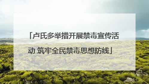 卢氏多举措开展禁毒宣传活动 筑牢全民禁毒思想防线