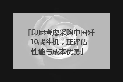 印尼考虑采购中国歼-10战斗机，正评估性能与成本优势