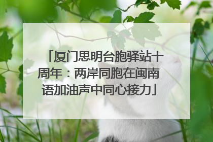 厦门思明台胞驿站十周年：两岸同胞在闽南语加油声中同心接力
