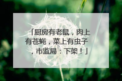 厨房有老鼠，肉上有苍蝇，菜上有虫子，市监局：下架！