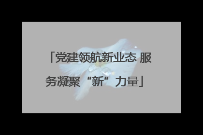 党建领航新业态 服务凝聚“新”力量