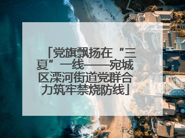 党旗飘扬在“三夏”一线——宛城区溧河街道党群合力筑牢禁烧防线