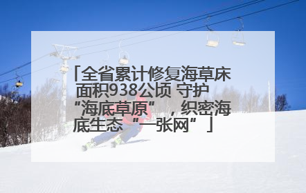 全省累计修复海草床面积938公顷 守护“海底草原”，织密海底生态“一张网”