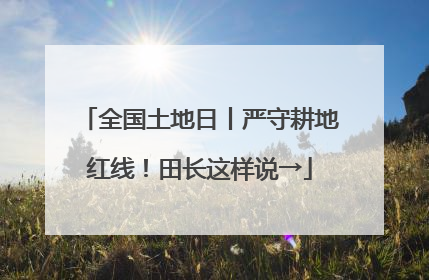 全国土地日丨严守耕地红线！田长这样说→