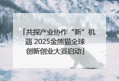 共探产业协作“新”机遇 2025金熊猫全球创新创业大赛启动