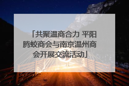 共聚温商合力 平阳腾蛟商会与南京温州商会开展交流活动