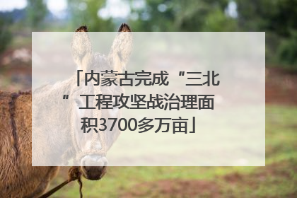 内蒙古完成“三北”工程攻坚战治理面积3700多万亩