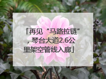 再见“马路拉链”，琴台大道2.6公里架空管线入廊