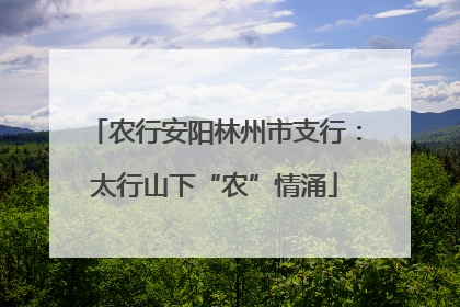 农行安阳林州市支行：太行山下“农”情涌