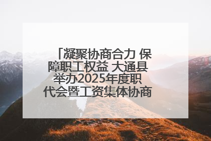 凝聚协商合力 保障职工权益 大通县举办2025年度职代会暨工资集体协商现场观摩交流活动