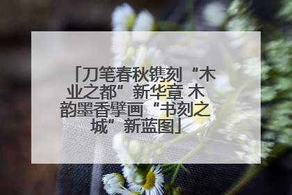刀笔春秋镌刻“木业之都”新华章 木韵墨香擘画“书刻之城”新蓝图