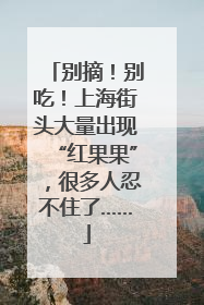 别摘！别吃！上海街头大量出现“红果果”，很多人忍不住了……