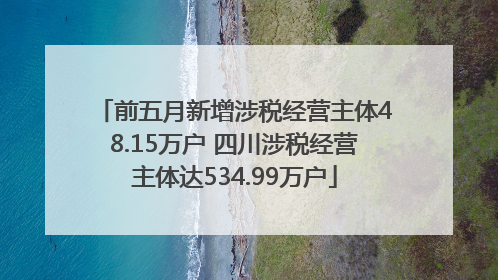 前五月新增涉税经营主体48.15万户 四川涉税经营主体达534.99万户