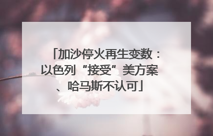 加沙停火再生变数：以色列“接受”美方案、哈马斯不认可